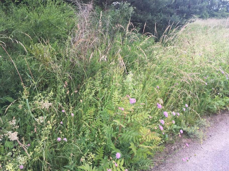 Gohrde Entspannung In Der Schoenen Lueneburger Heide מראה חיצוני תמונה